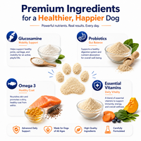 Poudre Multivitaminée Avancée 15-en-1 pour Chiens : Glucosamine, Soutien Articulaire, Probiotiques, Santé Intestinale, Oméga 3, Peau et Pelage – Pot de 360g en Vrac