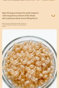FAT Wholesale Fournisseur de Matières Premières pour Bubble Tea : Châtaignes <span class=keywords><strong>d</strong></span>'eau, Haricots rouges, <span class=keywords><strong>Orge</strong></span> des Highlands, Perles de céréales éclatantes, de haute qualité - Product Image 3