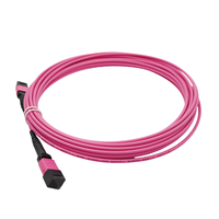 Fábrica MPO/2/M 12 núcleos multimodo OM4 tipo B Personalizado 1M 2M 10M 20M 30M fibra óptica MPO Patch Cord MTP
