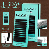 Extensions de cils YY Lashes 2D 3D 4D 5D 6D en forme de W, bouquets pré-faits pour volume, faux cils LAKANAKU De Cilios, plateaux de cils YY