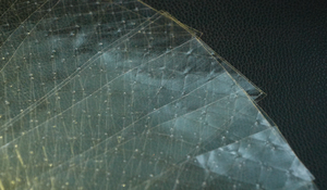 <span class=keywords><strong>Feuille</strong></span> de <span class=keywords><strong>gélatine</strong></span> de <span class=keywords><strong>feuille</strong></span> de <span class=keywords><strong>gélatine</strong></span> bovine de qualité <span class=keywords><strong>alimentaire</strong></span> <span class=keywords><strong>gélatine</strong></span> Halal pour la cuisson - Product Image 4
