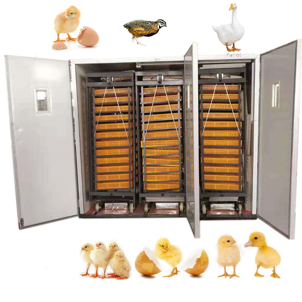 Amazon | インキュベーター 自動孵卵器 孵化器 検卵ライト付き12卵