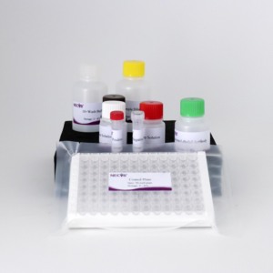Porcine fmdv o-loại VP1 kháng thể Elisa Kit | 96t/192T | thú y Kit chẩn đoán cho lợn | ISO chứng nhận - Product Image 6