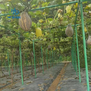 حصص حديقة عالية الجودة مصنوعة من الألياف الزجاجية وتد شجرة - Product Image 4