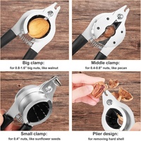 Outil de décorticage manuel portable en acier inoxydable de haute qualité avec poignée, facile à nettoyer, pour noix de cajou, noix et noisettes