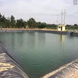UV Resistant Hdpe Black Waterproof Rough Surface Geomembranas For Fish Pool Project