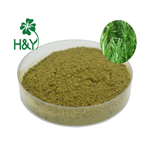 Лидер продаж, экстракт урсоловой кислоты 25%,50%,90% порошок экстракта листьев розмарина - Product Image 1