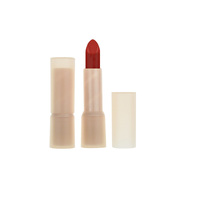 Tubes de rouge à lèvres de luxe de marque privée blanc rose noir options colorées haute pigmentation nude mat hydratant formule longue durée