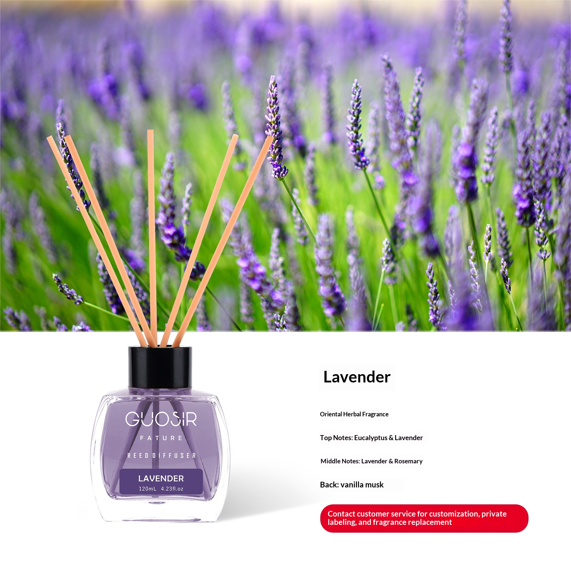 Parfum Agrumes et Lavande