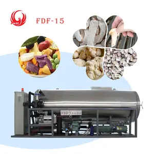 Máquinas de liofilização a vácuo multifuncionais para indústrias de processamento e produção, como frutas e legumes, cogumelos