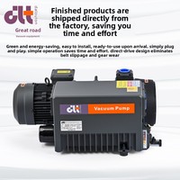 DLTV0063 Bomba de paletas rotativas de una etapa, sellada con aceite, de baja presión, 3 HP, construcción de hierro, motor trifásico, conexión de brida, 63M/H