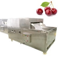 Grote Capaciteit Dadels Zaden Verwijderen Machine Olijf Date Cherry Core Remover Automatische Kersenbak Verwijderaar Machine