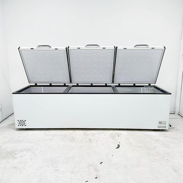 Vertical Freezer Frezer Refrigerator Deep Freezer ultra Low Temperature Freezer