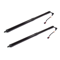Lève-Hayon Électrique Intelligent Automatique pour Land Rover LR 044161