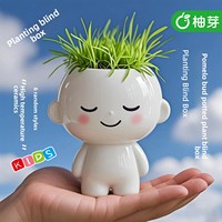 Kit DIY de culture de plantes en pot avec figurine en céramique, boîte mystère esthétique pour enfants, cadeau d'observation de plantes, décoration créative