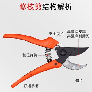 Nice <b>Pruning</b> Shears 45mm Carbon Steel Straight Head Garden <b>Tool</b> For Fruit <b>Trees</b> And Orchards - Product Image 4