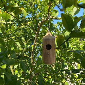 Maison d'oiseau suspendue en bois, maison <span class=keywords><strong>de</strong></span> colibri, nid d'oiseau naturel, <span class=keywords><strong>cabane</strong></span>, Cage extérieure, abri, cachette pour la <span class=keywords><strong>décoration</strong></span> <span class=keywords><strong>de</strong></span> <span class=keywords><strong>jardin</strong></span> - Product Image 5