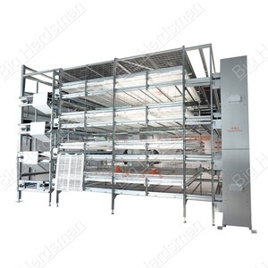 Gabbia Automatica per Polli da Carne con Pavimento a Doghe in PP ad Alta Resistenza per Ridurre Malattie di Zampe e Torace, Prezzo di Fabbrica CE - Product Image 3