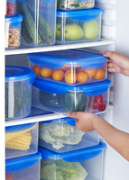 Boîte de stockage alimentaire en plastique écologique 600ML sans BPA avec serrure hermétique pour micro-ondes