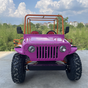 <span class=keywords><strong>Panique</strong></span> Achat Couleur Rose 2 Places Usine Vente Directe 4x4 Plage Buggy Visite Jeep Voiture 200 Club Jeep Go Kart Énergie Électrique - Product Image 3