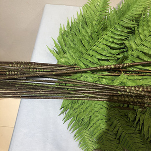 Simulación de ramas de helecho <span class=keywords><strong>Ricitos</strong></span> de oro Hojas de helecho artificial Gran simulación de plantas verdes - Product Image 5