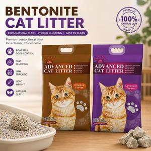 Litière pour chat en bentonite sans poussière, agglomération rapide, contrôle des odeurs, sable sanitaire naturel au sodium pour chats - Product Image 1