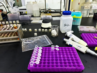 Kit ELISA de Antígeno Prostático Específico (PSA) de Rata para Uso en Investigación, para Medir Niveles de PSA en Muestras de Suero y Plasma de Rata