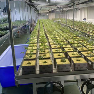 En vente support de plantation extensible conception modulaire lit de semence multicouche pour divers besoins de croissance - Product Image 1