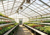 Serres préfabriquées en structure acier de style industriel moderne pour légumes et fleurs