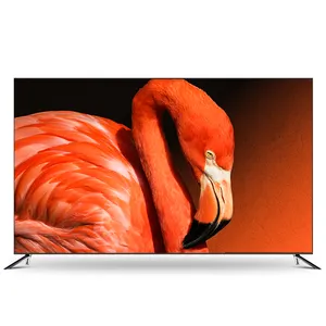 Sıcak satış desteği TV 55 inç OEM ODM SKD HD 4K akıllı televizyonlar OLED TV