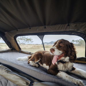 Hard Rooftop <b>Tent</b> for Family and Pets with Double Space Camping Design - Product Image 5