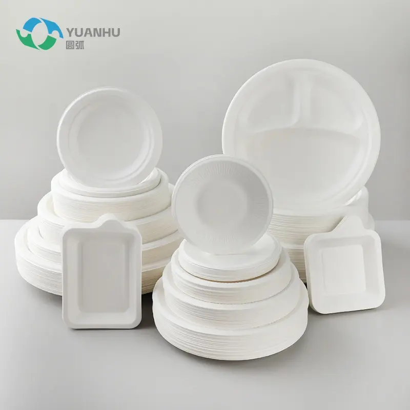 PFAS Free Biodegradable Sugarcane Tray with Lid Takeaway Take Out Container Food Packaging Lunch Box