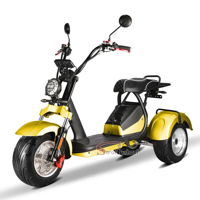 Citycoco-patinete eléctrico de 3 ruedas para adulto, vehículo eléctrico de 2000w con tres ruedas