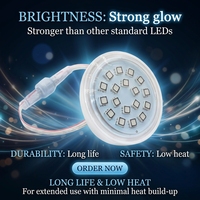 Lumière LED RGB programmable à pixels 24V haute luminosité WS2811 UCS1903 IP67 étanche, source lumineuse ponctuelle pour parc d'attractions