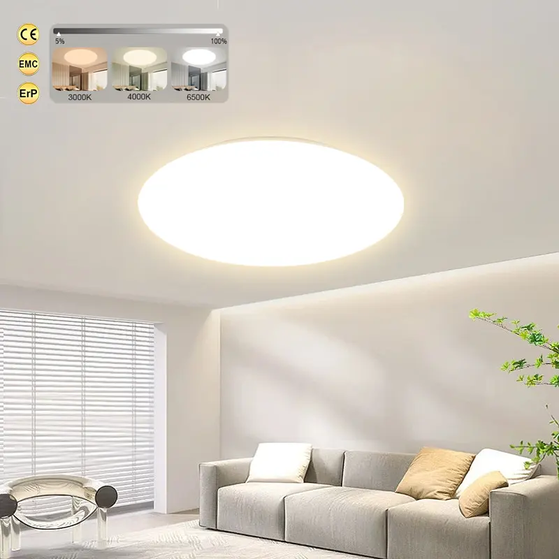 Round White Ceil Lamp Modern Smart Indoor Lighting Home Decoration Dimmable Simple Led Ceiling Light
