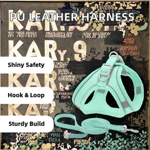 Ensemble de harnais pour chien en cuir PU personnalisé, laisse anti-traction solide, luxe, sport, XL, avec décoration en fourrure pour animaux de compagnie - Product Image 2