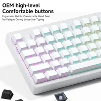 Gradient Keycap Set PBT Double Shot Side Print Shine Through Backlit OEM Keycaps for MX Switch Gaming Mechanical Keyboard