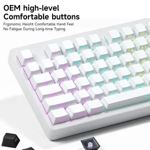 Ensemble de touches de clavier dégradées PBT Double Shot avec impression latérale, rétroéclairées, compatibles OEM, pour clavier mécanique de jeu avec interrupteurs MX, fabriqué en Chine - Product Image 1