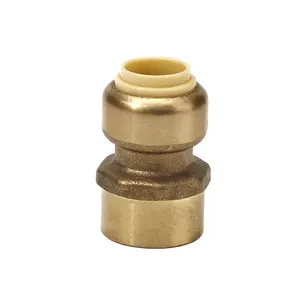 铜制Pex CPVC管道用黄铜管件推入配件直管件