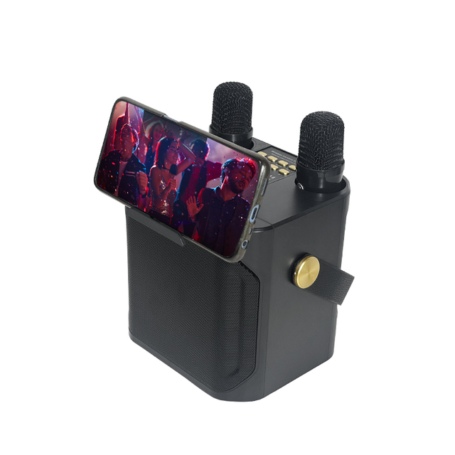 Bluetooth Wireless Karaoke Speaker with 2pcs Handheld Mic Radio Karaoke Machine Music Player Singing Recorder KTV Microphone