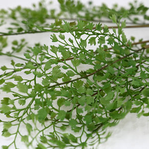 Vente en gros de <span class=keywords><strong>plantes</strong></span> artificielles d'<span class=keywords><strong>arum</strong></span> à 3 branches en latex véritable pour mariage, arrangements floraux décoratifs pour la maison et le bureau. - Product Image 3