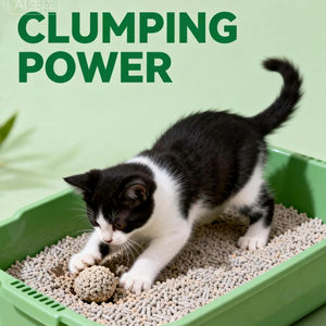 Cat Litter Sand Sodium <b>Bentonite</b> Activated Carbon Wood Corn Starch Fast Clumping Extra Odor Control Highly Adsorbent - Product Image 1