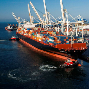 شركات شحن من الصين إلى الولايات المتحدة الأمريكية من الباب إلى الباب تدعم خدمة الشحن DDP وخدمات التعبئة والتغليف وخدمة أمازون FBA - Product Image 2