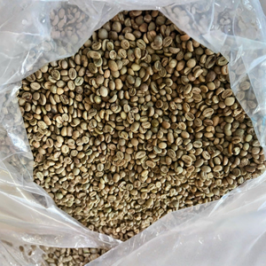 Granos de Café Verde Orgánico Vietnam Arabica Sin OMG AAA, Calidad Superior, Talla 16, para Tostado a Granel, Calidad Estable, 24 Meses de Vida Útil - Product Image 1