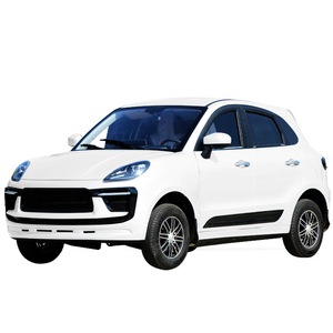 Voiture électrique fermée, certification EEC, batterie au lithium, propulsion simple, toit métallique léger, caméra arrière, fabrication chinoise, transmission intégrale - Product Image 1