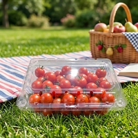 Scatole di plastica Design contenitore a conchiglia per un comodo stoccaggio e organizzazione