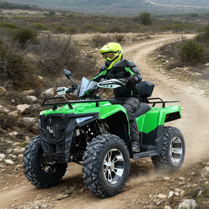 Buggy tout-terrain refroidi par air EU QIQU, automatique avec marche arrière, kart à essence commercial 200cc - Product Image 1