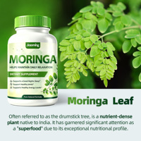 Capsules de Moringa pour la santé avec poudre de feuilles d'Oleifera naturelle, complément énergétique et pur, vente en gros OEM ODM