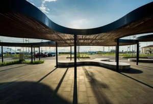 Escultura de Madera Enrollada SENZHAO para Parques Urbanos, Calles Comerciales y Aeropuertos - Product Image 4