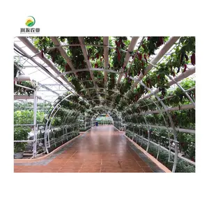 สลัดสวน9 Pots สมาร์ท1020เมล็ดพลาสติกถาด Hydroponic ปลูกกล่องปลูกระบบ